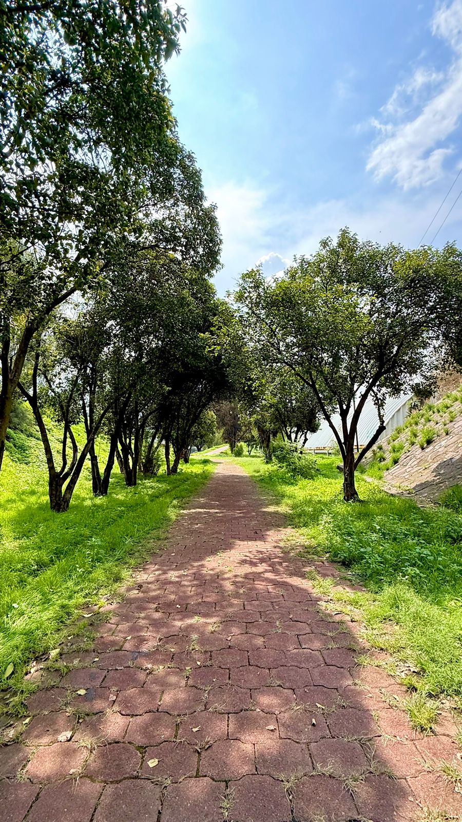 Parque Adolfo López Mateos